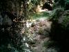 imag0033.jpg
