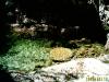 2005080028.jpg