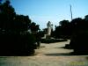 imag0160.jpg