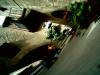 imag0246.jpg