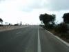 s8000499.jpg
