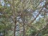 s8000800.jpg