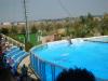 s8001158.jpg