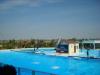 s8001160.jpg