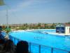 s8001161.jpg