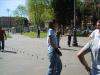 s8000126.jpg