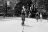 DSC 2717.JPG