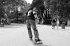 DSC 2719.JPG