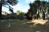 DSC 0034.JPG