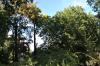 DSC 0049.JPG
