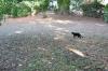 DSC 0055.JPG