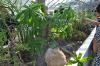 DSC 0089.JPG