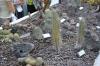 DSC 0102.JPG