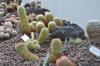 DSC 0105.JPG