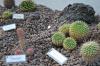 DSC 0112.JPG