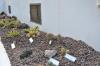 DSC 0115.JPG