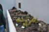 DSC 0116.JPG
