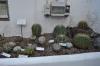 DSC 0122.JPG