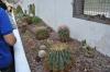 DSC 0123.JPG