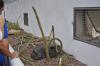 DSC 0130.JPG