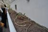 DSC 0137.JPG