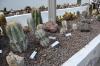 DSC 0138.JPG