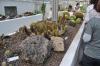 DSC 0143.JPG