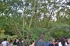 DSC 0150.JPG