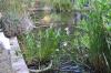 DSC 0152.JPG