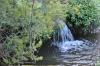 DSC 0154.JPG