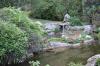 DSC 0155.JPG