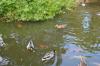 DSC 0158.JPG