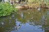 DSC 0161.JPG