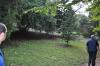 DSC 0164.JPG