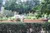 DSC 0174.JPG