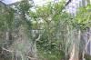 DSC 0178.JPG