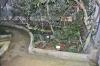DSC 0180.JPG