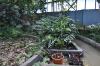 DSC 0225.JPG
