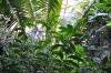 DSC 0240.JPG