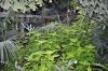 DSC 0258.JPG