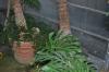 DSC 0260.JPG
