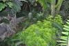 DSC 0269.JPG