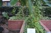 DSC 0323.JPG