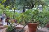 DSC 0324.JPG
