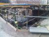 IMG 20110326 00030.jpg