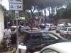 IMG 20110612 00125.jpg