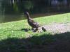 IMG 20110625 00217.jpg