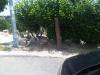 IMG 20110705 00223.jpg