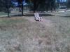 IMG 20110717 00235.jpg