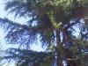 IMG 20111001 00321.jpg